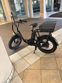 Rad Power Bikes RadRunner Plus – e-bike elettrica,