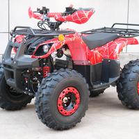 Miniquad Elettrico Compatto Motors 1000W 48v 20 ah