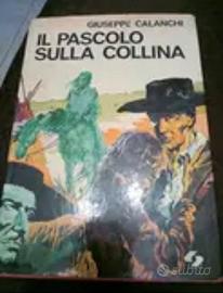 libro ,il Pascolo sulla collina, Giuseppe calanchi