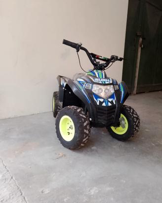 mini quad