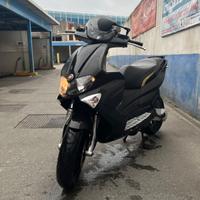 Runner sp 50 2017