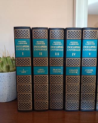 Enciclopedia Universale Rizzoli Larousse 