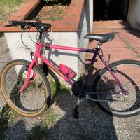 Bicicletta