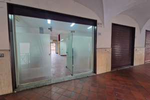 Locale commerciale/ artigianale con garage