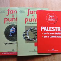 Fare il punto - testo scolastico di grammatica