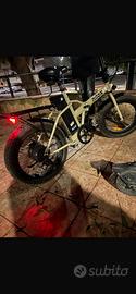 bici elettrica