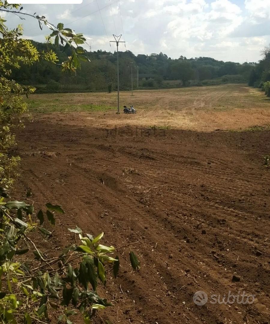Terreno agricolo - Vista 5