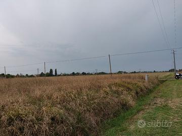 Terreno agricolo Cesena