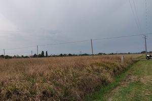 Terreno agricolo Cesena
