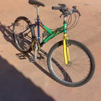 mountain bike ruota 24