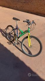 mountain bike ruota 24