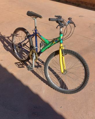 mountain bike ruota 24