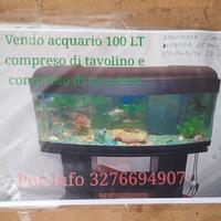 Vendita acquario