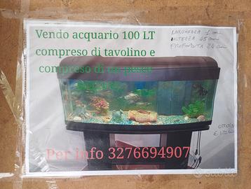 Vendita acquario