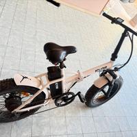 bici elettrica 