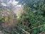Immagine 16