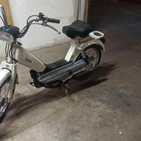 Califfo Giò Rizzato