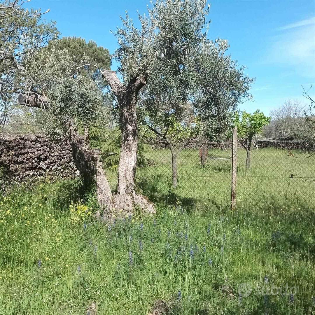 Rif.FF41| terreno agricolo belpasso - Vista 4