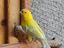 Immagine 1