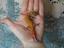 Immagine 1