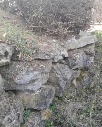 Sassi da giardino