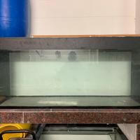 Acquario