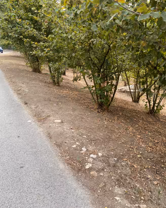 Terreno rustico
