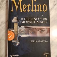 Merlino, Il destino di un giovane mago