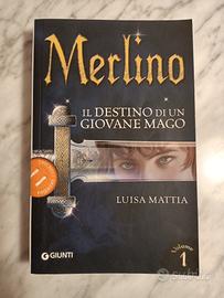 Merlino, Il destino di un giovane mago