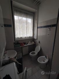 Stanza singola città studi MILANO