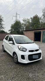 KIA Picanto EcoGPL 5 porte Active Collection