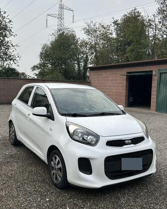 KIA Picanto EcoGPL 5 porte Active Collection