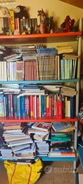 Libreria camera blu e rossa