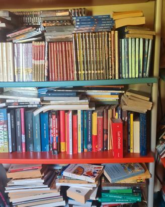 Libreria camera blu e rossa
