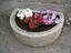 Immagine 29