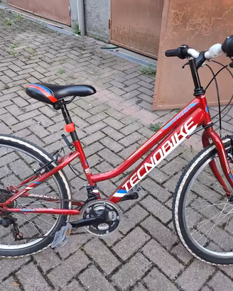 bicicletta per ragazzi 