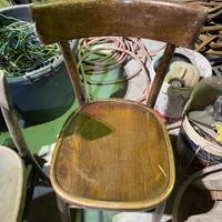Sedie in legno