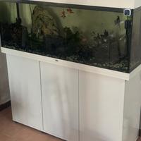 Acquario jawel 250 litri