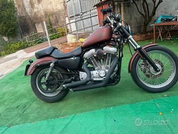 Harley Davidson Sportster 883