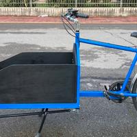 Bicicletta cargo bike