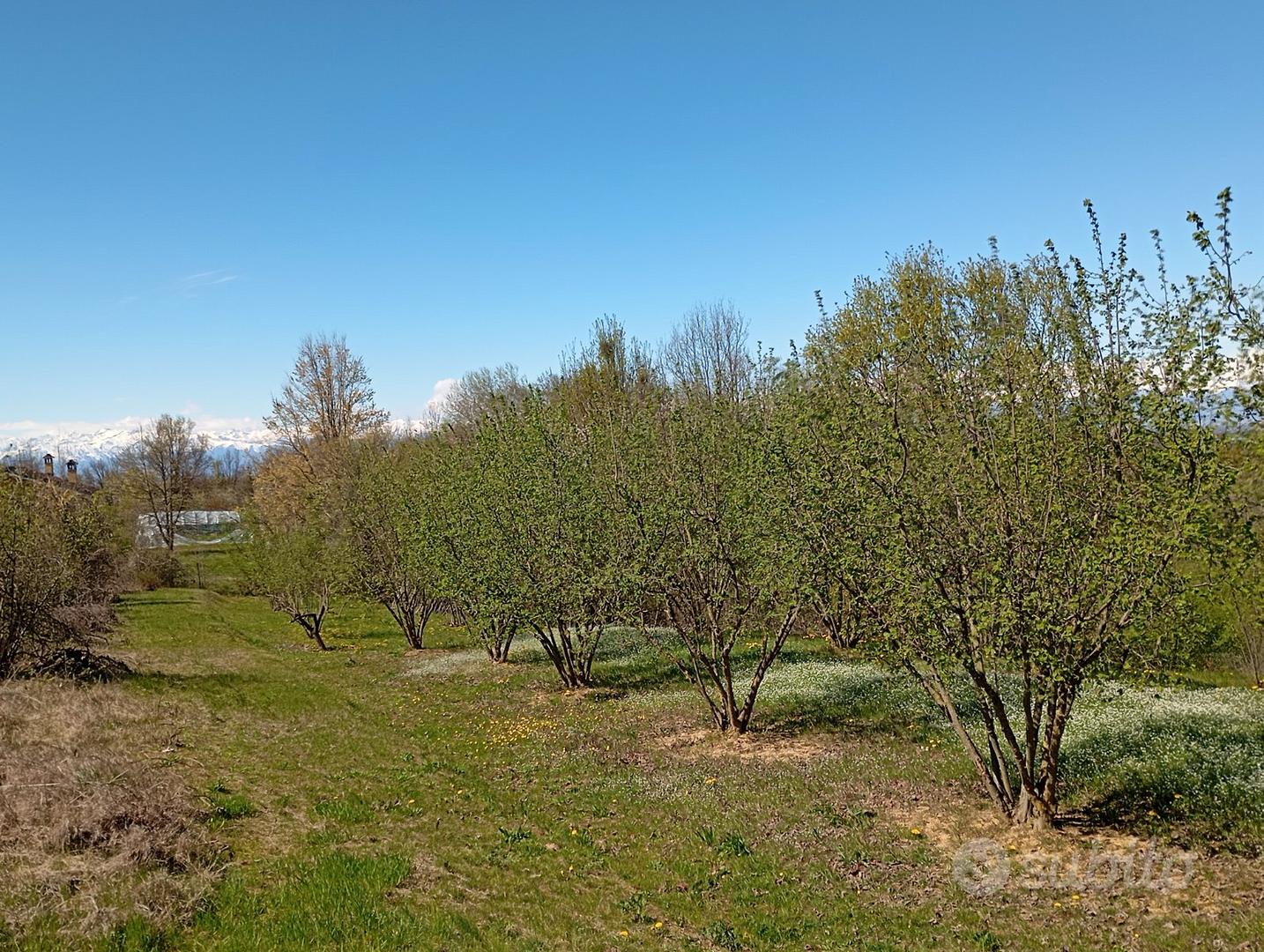 Terreno edificabile posizione panoramica - Vista 2