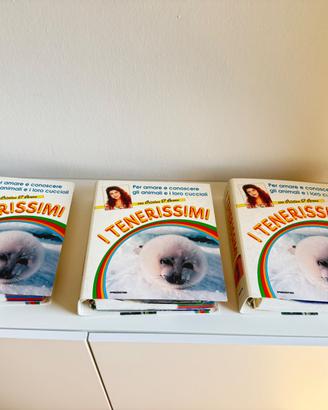 3 Raccoglitori Schede Tenerissimi Cristina D'Avena