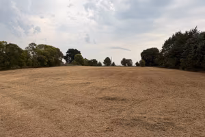 Terreno Agricolo