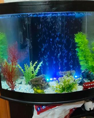 acquario completo di accessori e pompa con m