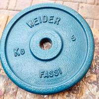 pesi  palestra 