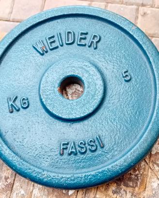 pesi  palestra 