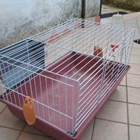 gabbia per conigli