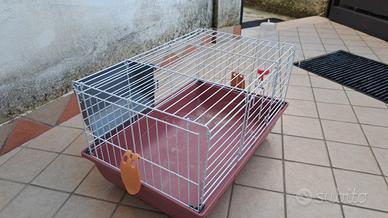 gabbia per conigli