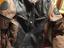 Immagine 1