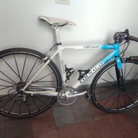 Colnago primavera